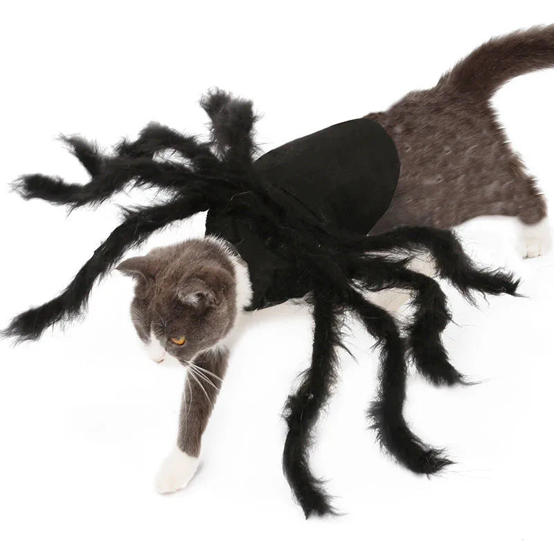 Pet Bat Wings Costume