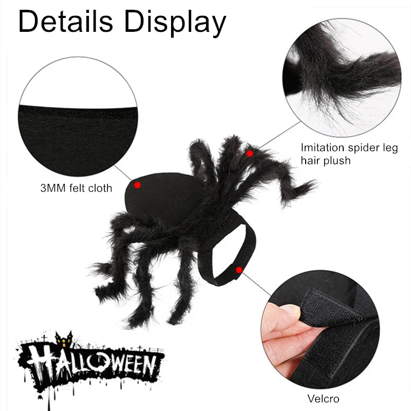 Pet Bat Wings Costume