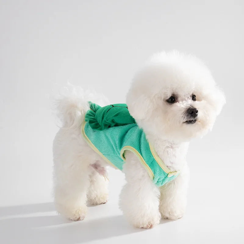 Turtle Dog Costume