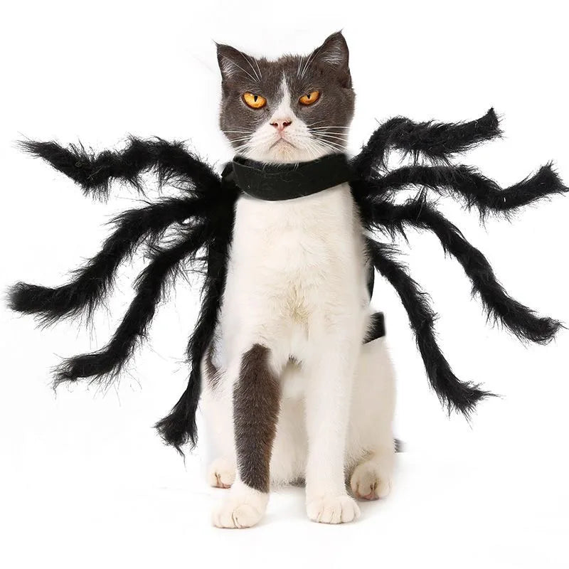 Pet Bat Wings Costume