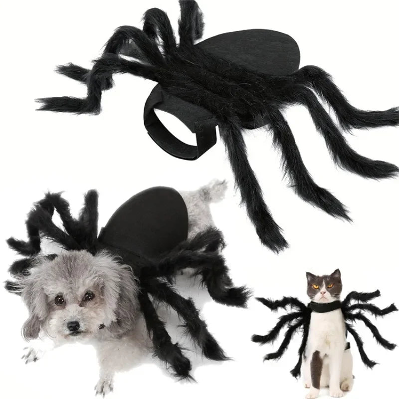Pet Bat Wings Costume